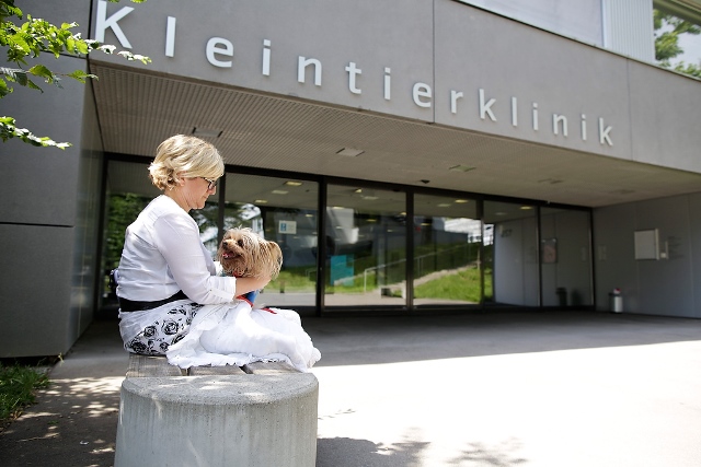 Eingang Kleintierklinik